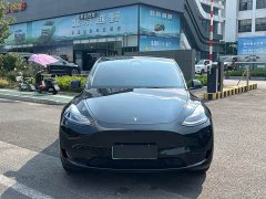 Tesla Model Y Rear-Wheel Drive - ფოტო 2