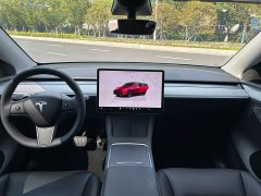 Tesla Model Y Rear-Wheel Drive - ფოტო 8