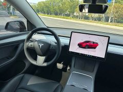 Tesla Model Y Rear-Wheel Drive - ფოტო 9