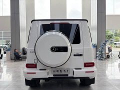 Mercedes-Benz G-Class G 350 - ფოტო 15