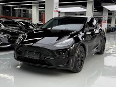 Tesla Model Y Rear-Wheel Drive - ფოტო 1
