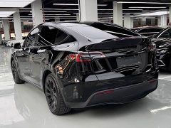 Tesla Model Y Rear-Wheel Drive - ფოტო 14