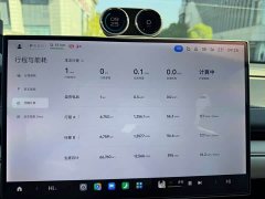 Xiaomi SU7 Quad Motor Max Founder Edition - ფოტო 7