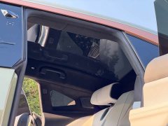 HiPhi Z Four-Seater - ფოტო 13