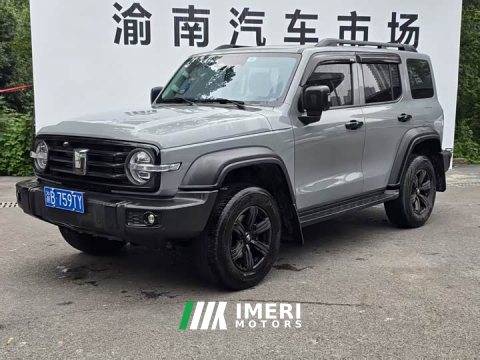 2024 Tank 300 2.0T Challenger - ავტომობილი ჩინეთიდან