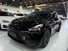 Tesla Model Y Rear-Wheel Drive - ფოტო 1