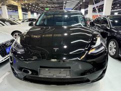 Tesla Model Y Rear-Wheel Drive - ფოტო 2