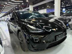 Tesla Model Y Rear-Wheel Drive - ფოტო 3