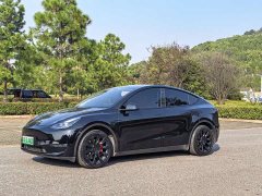 Tesla Model Y Long Range All-Wheel Drive - ფოტო 1