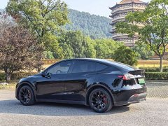 Tesla Model Y Long Range All-Wheel Drive - ფოტო 12