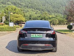 Tesla Model Y Long Range All-Wheel Drive - ფოტო 13