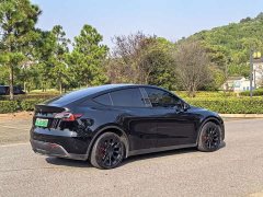 Tesla Model Y Long Range All-Wheel Drive - ფოტო 14