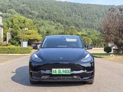 Tesla Model Y Long Range All-Wheel Drive - ფოტო 2