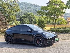 Tesla Model Y Long Range All-Wheel Drive - ფოტო 3