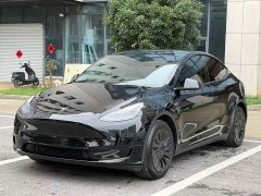 Tesla Model Y Rear-Wheel Drive - ფოტო 1