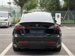 Tesla Model Y Rear-Wheel Drive - ფოტო 5
