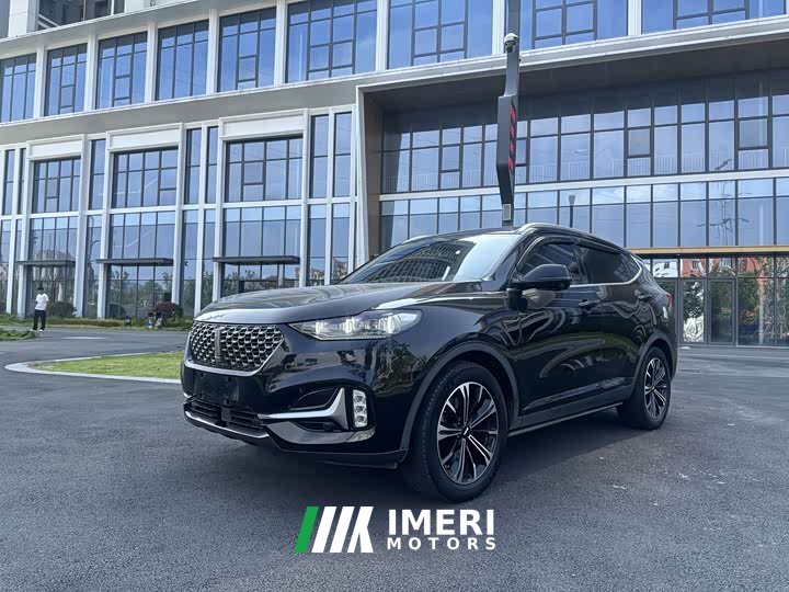Great Wall WEY VV6 2.0T Two-Wheel Drive Smart Protection