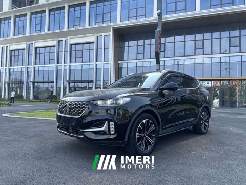 2021 Great Wall WEY VV6 2.0T Two-Wheel Drive Smart Protection - ავტომობილი ჩინეთიდან