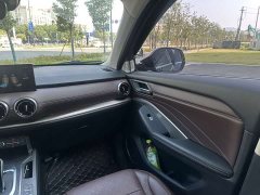 Great Wall WEY VV6 2.0T Two-Wheel Drive Smart Protection - ფოტო 9