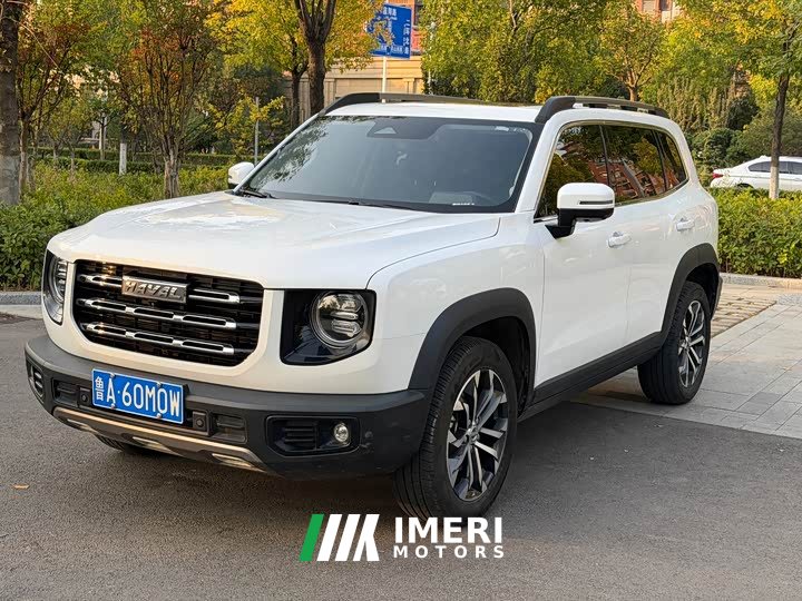 Great Wall Dachshund 2022 1.5T DCT Two-Wheel Drive Border Collie Edition - ავტომობილი ჩინეთიდან
