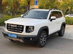 Great Wall Dachshund 2022 1.5T DCT Two-Wheel Drive Border Collie Edition - ფოტო 1