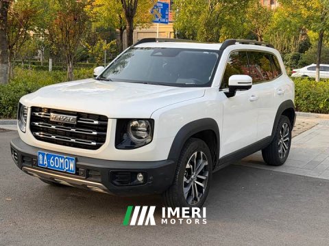 2023 Great Wall Dachshund 2022 1.5T DCT Two-Wheel Drive Border Collie Edition - ავტომობილი ჩინეთიდან