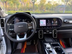 Great Wall Dachshund 2022 1.5T DCT Two-Wheel Drive Border Collie Edition - ფოტო 11