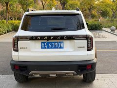 Great Wall Dachshund 2022 1.5T DCT Two-Wheel Drive Border Collie Edition - ფოტო 4