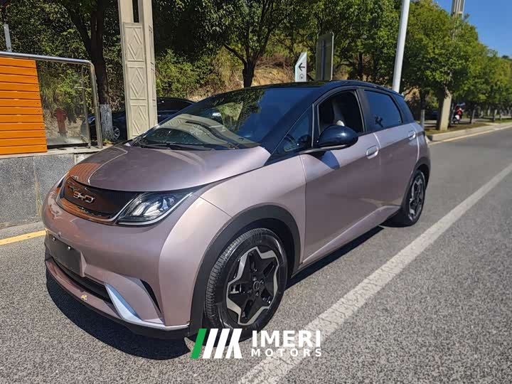 BYD Dolphin 405km Freedom Edition