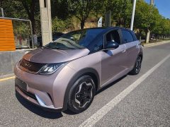 BYD Dolphin 405km Freedom Edition - ფოტო 1