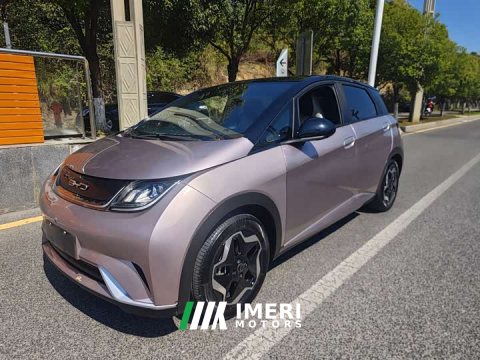 2022 BYD Dolphin 405km Freedom Edition - ავტომობილი ჩინეთიდან