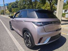 BYD Dolphin 405km Freedom Edition - ფოტო 4