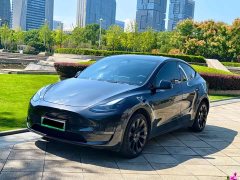 Tesla Model Y Long Range All-Wheel Drive - ფოტო 1