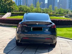 Tesla Model Y Long Range All-Wheel Drive - ფოტო 13