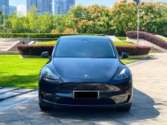 Tesla Model Y Long Range All-Wheel Drive - ფოტო 2