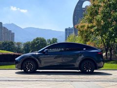 Tesla Model Y Long Range All-Wheel Drive - ფოტო 3