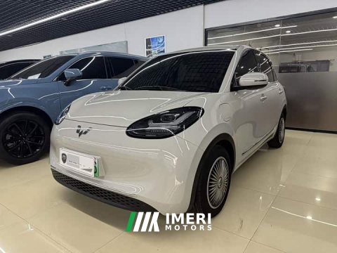 2024 Wuling Binguo 2023 333km Joy Edition - ავტომობილი ჩინეთიდან