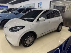 Wuling Binguo 2023 333km Joy Edition - ფოტო 9