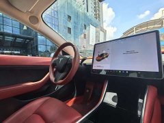 Tesla Model 3 2020 Long Range Rear-Wheel Drive - ფოტო 9