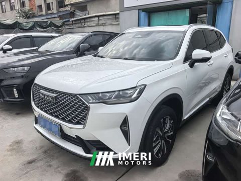 2021 Haval H6 Third Generation 1.5T Automatic Two-Wheel Drive Max - ავტომობილი ჩინეთიდან