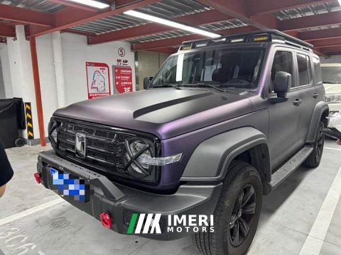2026 Tank 300 2025 2.0T Gasoline Conqueror - ავტომობილი ჩინეთიდან