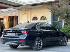 BMW 5 Series 530Li Luxury M Sport Package - ფოტო 10