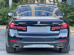 BMW 5 Series 530Li Luxury M Sport Package - ფოტო 9