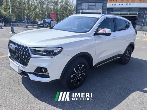 2023 Haval H6 National Trend Edition 1.5T Automatic Urban Version - ავტომობილი ჩინეთიდან