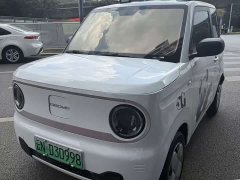 Geely Panda Mini 200km Endurance Edition - ფოტო 1