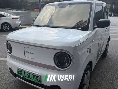 2023 Geely Panda Mini 200km Endurance Edition - ავტომობილი ჩინეთიდან