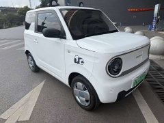 Geely Panda Mini 200km Endurance Edition - ფოტო 3