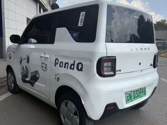 Geely Panda Mini 200km Endurance Edition - ფოტო 7