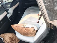 Nissan N7 2025 510 Max - ფოტო 11