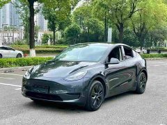 Tesla Model Y Rear-Wheel Drive - ფოტო 1